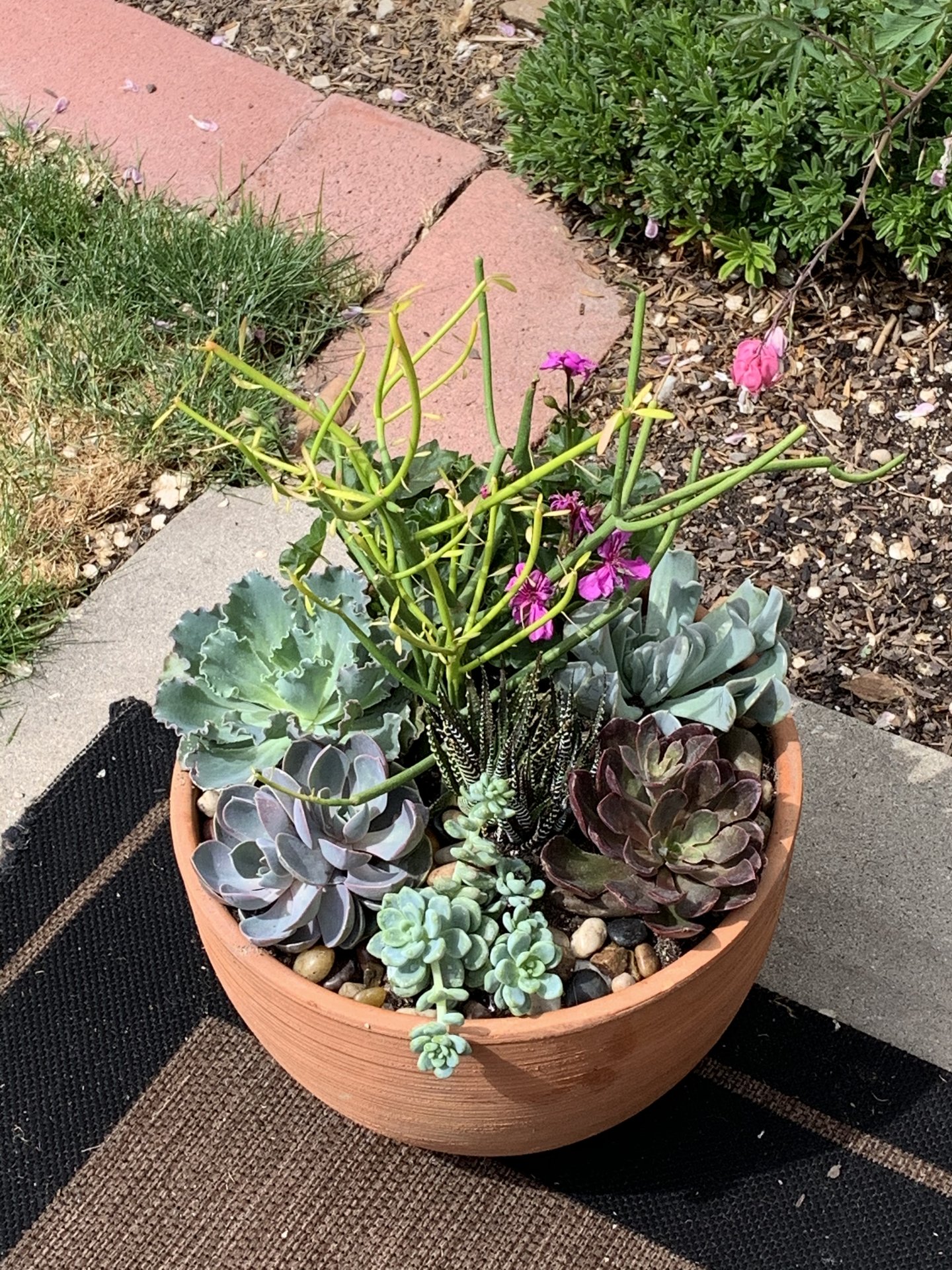 Gardening Classes